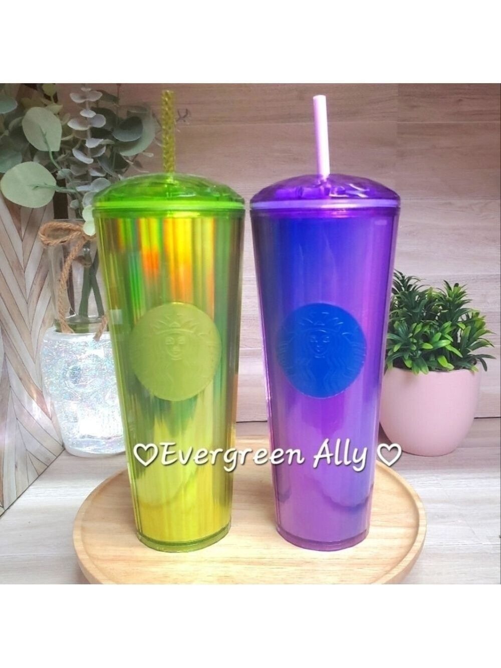 Starbucks Halloween Colored Dome Tumblers Venti 24oz Purple and Slime Green 💜💚 - Picture 1 of 5